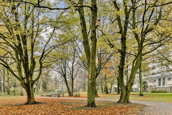 Foto - Te koop: Hofgeest 103, 1102 EE Amsterdam